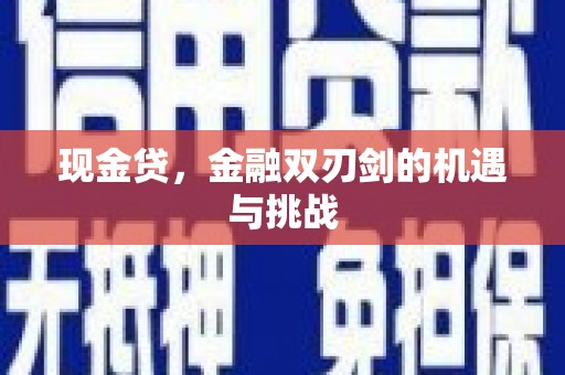 成武现金贷，金融双刃剑的机遇与挑战