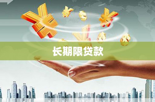 成武长期限贷款