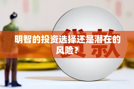 成武明智的投资选择还是潜在的风险？