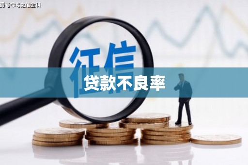 成武贷款不良率