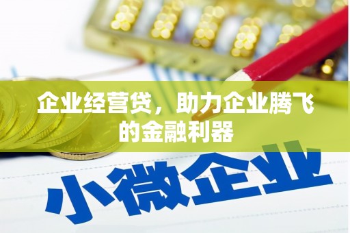 成武企业经营贷，助力企业腾飞的金融利器
