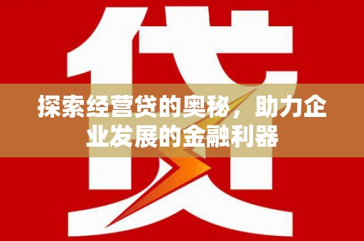 成武探索经营贷的奥秘，助力企业发展的金融利器