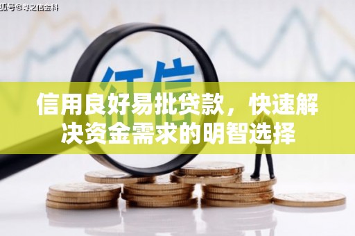 成武信用良好易批贷款，快速解决资金需求的明智选择