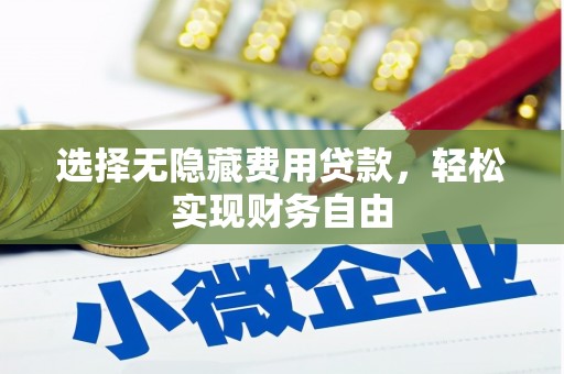 成武选择无隐藏费用贷款，轻松实现财务自由