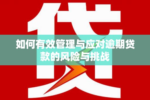 成武如何有效管理与应对逾期贷款的风险与挑战