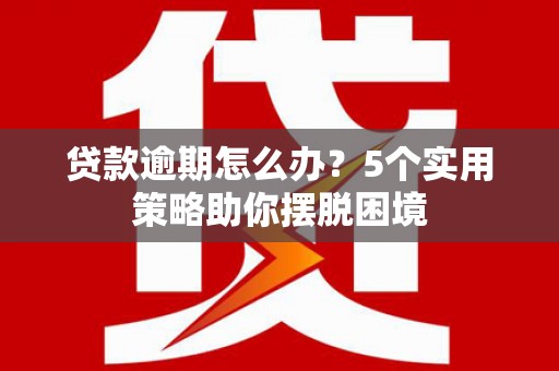 成武贷款逾期怎么办？5个实用策略助你摆脱困境