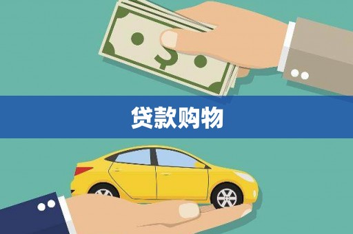 成武贷款购物