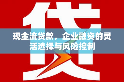 成武现金流贷款，企业融资的灵活选择与风险控制