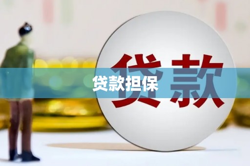 成武贷款担保