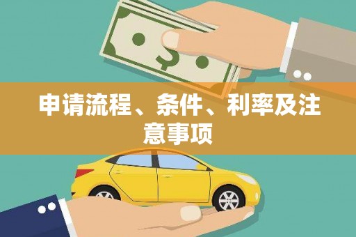 成武申请流程、条件、利率及注意事项