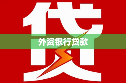 成武外资银行贷款