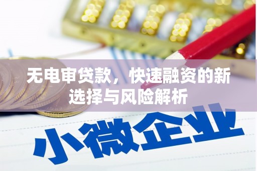 成武无电审贷款，快速融资的新选择与风险解析