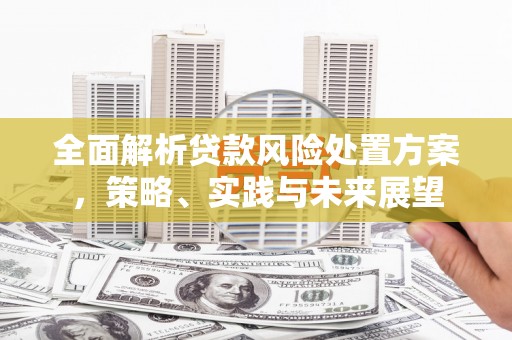 成武全面解析贷款风险处置方案，策略、实践与未来展望
