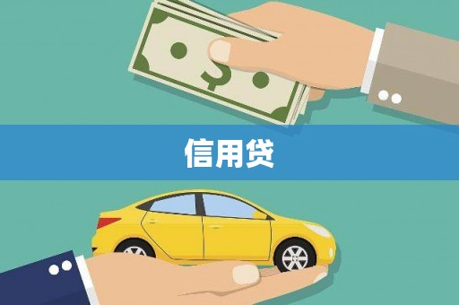 成武信用贷