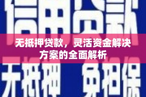 成武无抵押贷款，灵活资金解决方案的全面解析