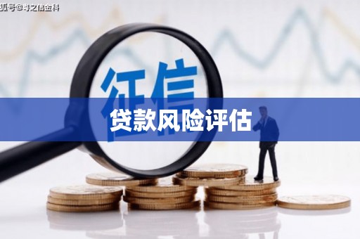 成武贷款风险评估