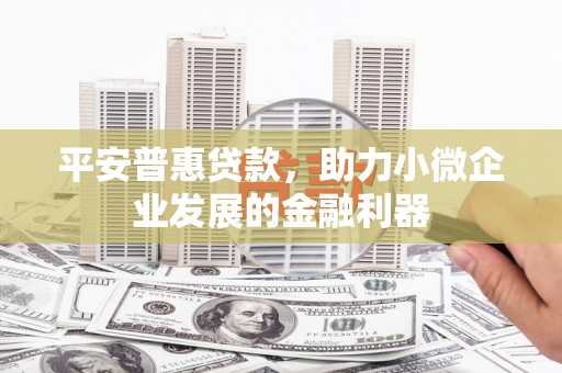 成武平安普惠贷款，助力小微企业发展的金融利器