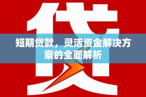 成武短期贷款，灵活资金解决方案的全面解析
