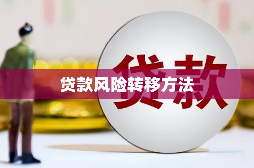 成武贷款风险转移方法