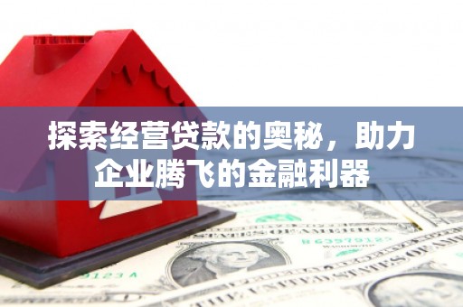 成武探索经营贷款的奥秘，助力企业腾飞的金融利器