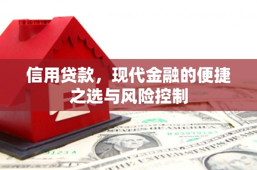 成武信用贷款，现代金融的便捷之选与风险控制