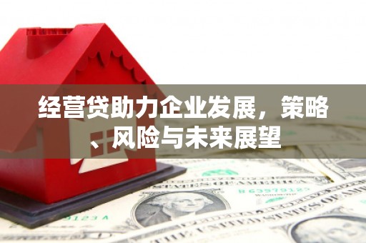 成武经营贷助力企业发展，策略、风险与未来展望