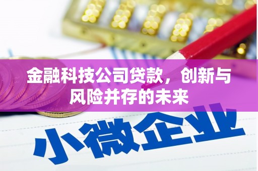 成武金融科技公司贷款，创新与风险并存的未来