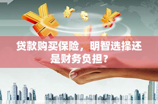 成武贷款购买保险，明智选择还是财务负担？