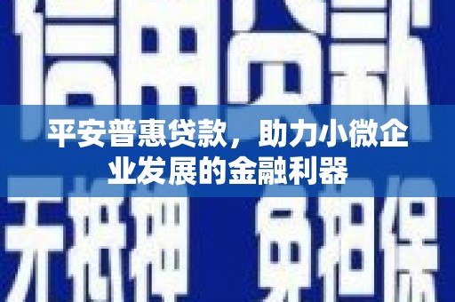 成武平安普惠贷款，助力小微企业发展的金融利器