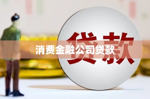 成武消费金融公司贷款