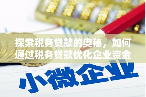 成武探索税务贷款的奥秘，如何通过税务贷款优化企业资金流