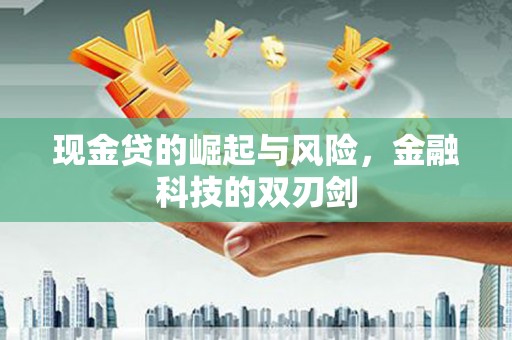 成武现金贷的崛起与风险，金融科技的双刃剑