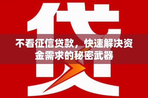 成武不看征信贷款，快速解决资金需求的秘密武器
