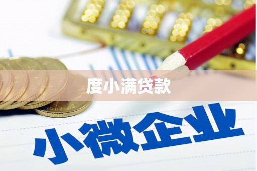 成武度小满贷款