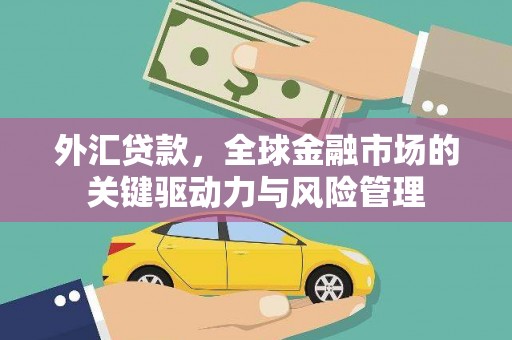 成武外汇贷款，全球金融市场的关键驱动力与风险管理