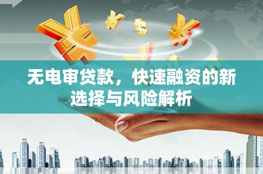 成武无电审贷款，快速融资的新选择与风险解析
