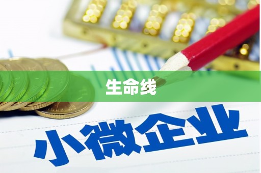 成武生命线