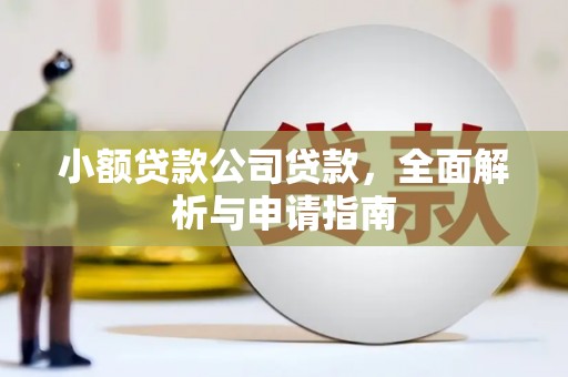 成武小额贷款公司贷款，全面解析与申请指南