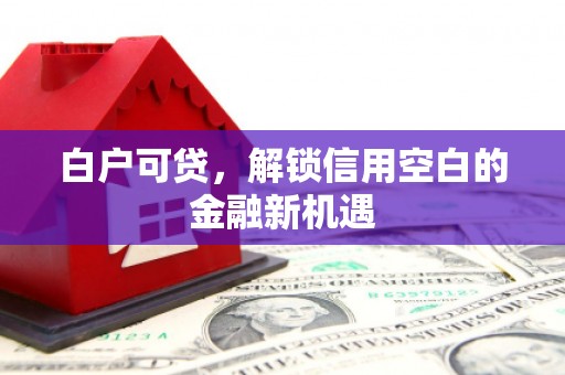 成武白户可贷，解锁信用空白的金融新机遇