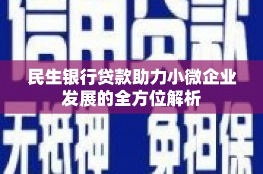 成武民生银行贷款助力小微企业发展的全方位解析