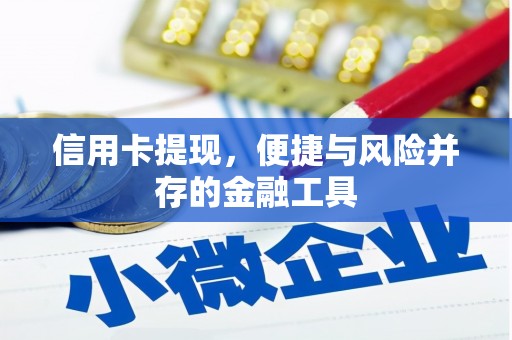 成武信用卡提现，便捷与风险并存的金融工具