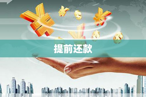 成武提前还款