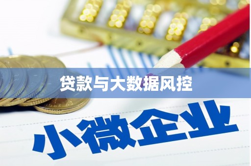 成武贷款与大数据风控