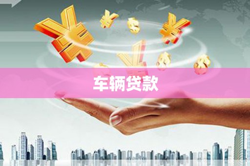 成武车辆贷款