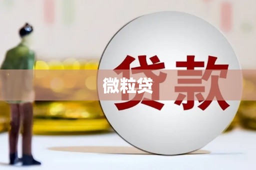 成武微粒贷
