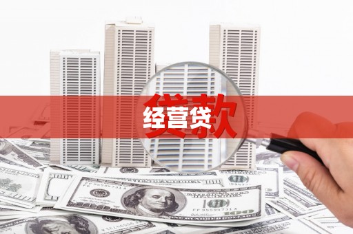 成武经营贷