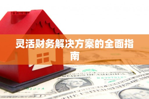 成武灵活财务解决方案的全面指南