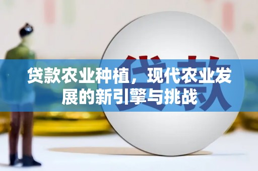 成武贷款农业种植，现代农业发展的新引擎与挑战