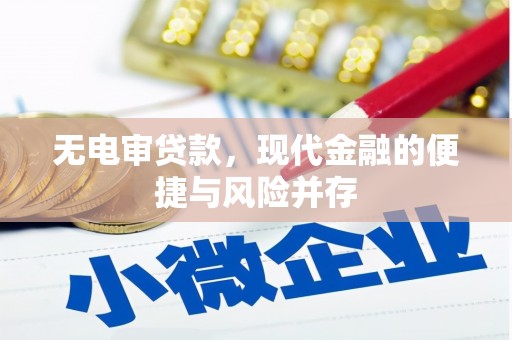 成武无电审贷款，现代金融的便捷与风险并存