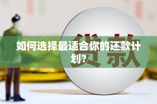成武如何选择最适合你的还款计划？